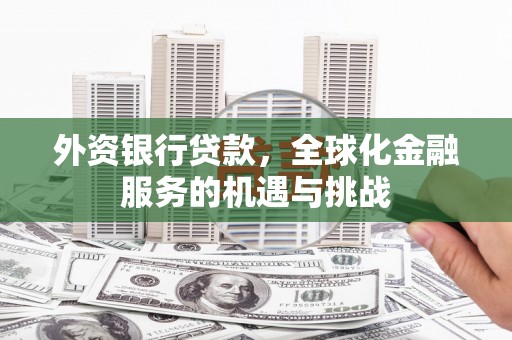 中区外资银行贷款，全球化金融服务的机遇与挑战