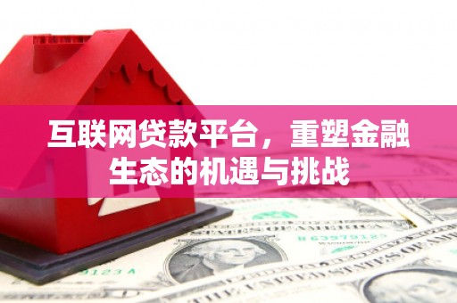 中区互联网贷款平台，重塑金融生态的机遇与挑战