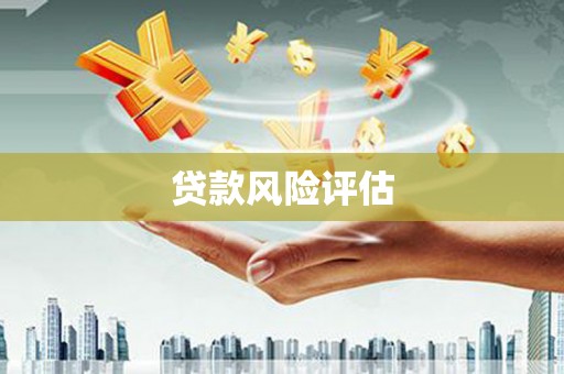 中区贷款风险评估
