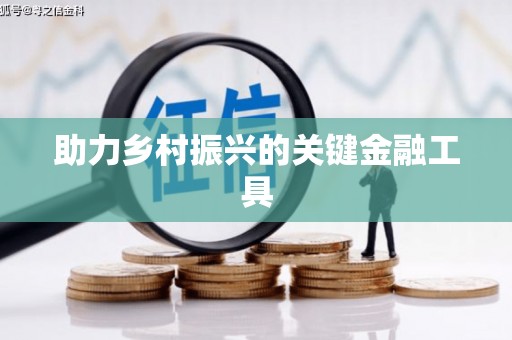 中区助力乡村振兴的关键金融工具
