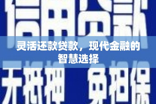 中区灵活还款贷款，现代金融的智慧选择