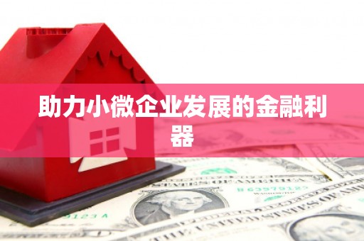 中区助力小微企业发展的金融利器