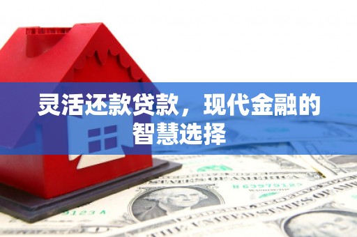 中区灵活还款贷款，现代金融的智慧选择
