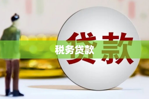 中区税务贷款