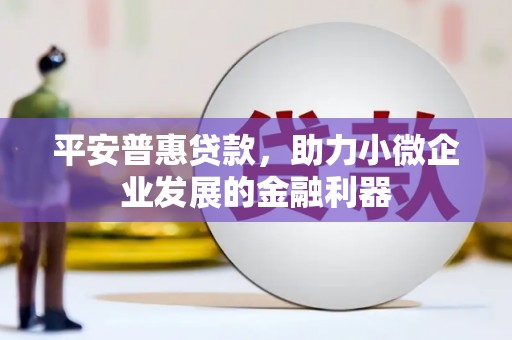 中区平安普惠贷款，助力小微企业发展的金融利器
