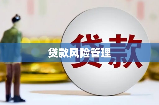 中区贷款风险管理