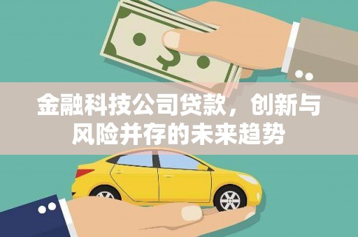 中区金融科技公司贷款，创新与风险并存的未来趋势