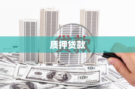 中区质押贷款