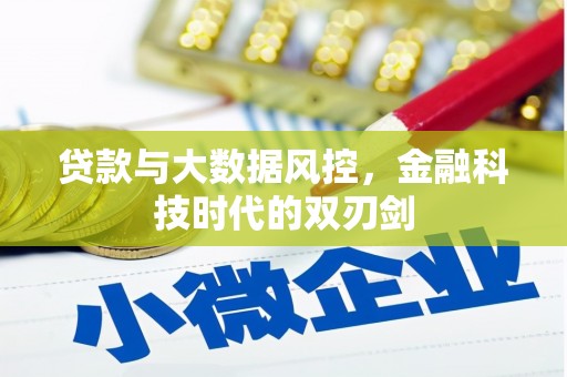 中区贷款与大数据风控，金融科技时代的双刃剑