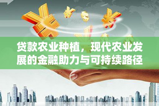 中区贷款农业种植，现代农业发展的金融助力与可持续路径