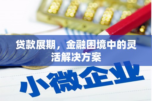 中区贷款展期，金融困境中的灵活解决方案