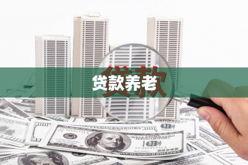 中区贷款养老