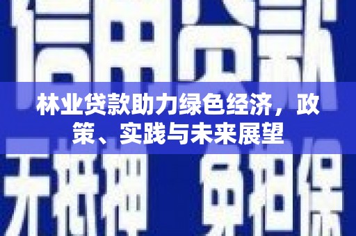 中区林业贷款助力绿色经济，政策、实践与未来展望