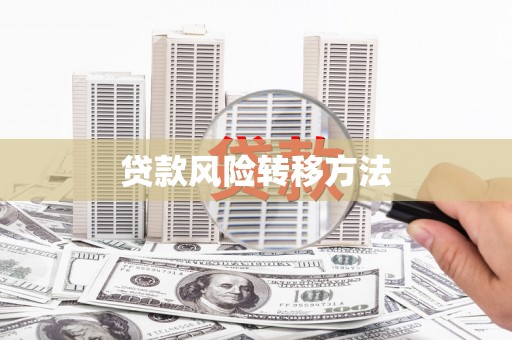 中区贷款风险转移方法