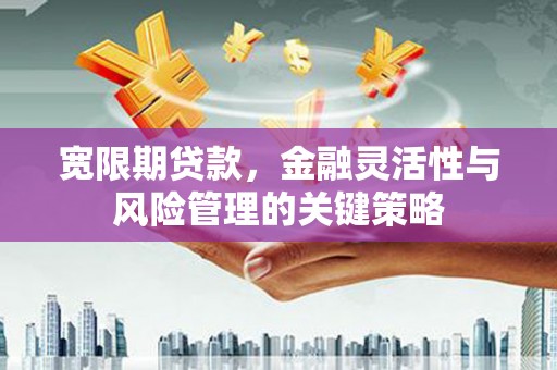 中区宽限期贷款，金融灵活性与风险管理的关键策略