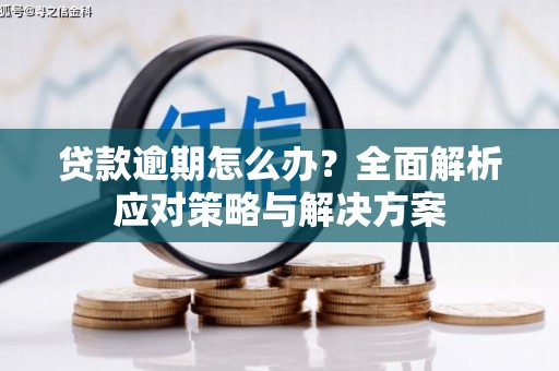 中区贷款逾期怎么办？全面解析应对策略与解决方案