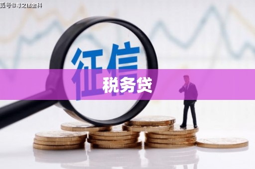 中区税务贷