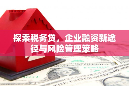 中区探索税务贷，企业融资新途径与风险管理策略