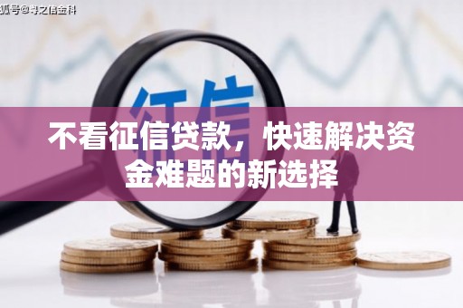 中区不看征信贷款，快速解决资金难题的新选择