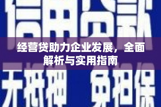 中区经营贷助力企业发展，全面解析与实用指南