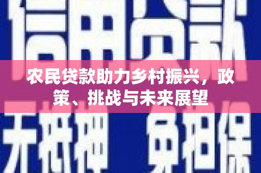 中区农民贷款助力乡村振兴，政策、挑战与未来展望
