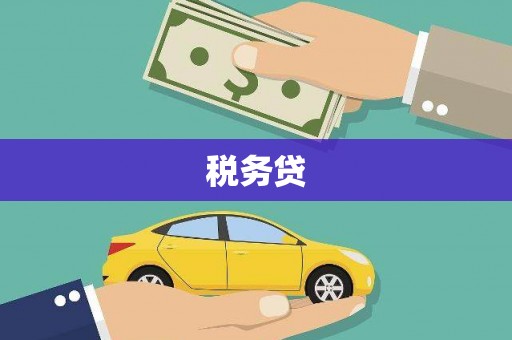 中区税务贷