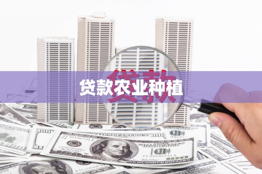 中区贷款农业种植