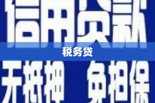 中区税务贷