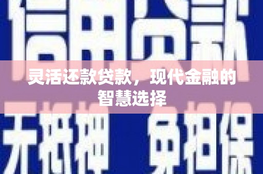 中区灵活还款贷款，现代金融的智慧选择