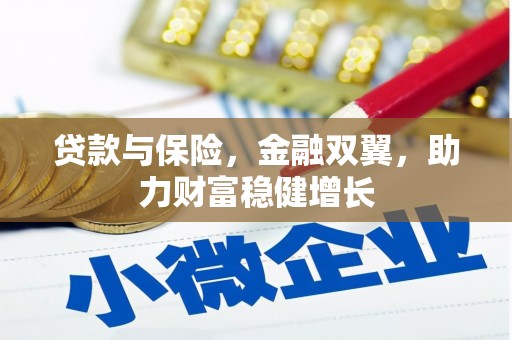 中区贷款与保险，金融双翼，助力财富稳健增长