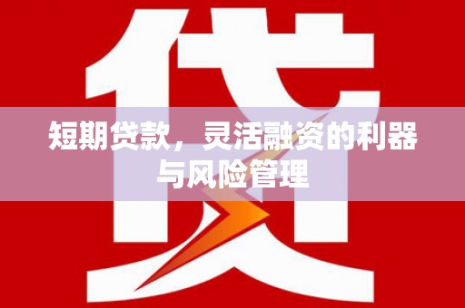 中区短期贷款，灵活融资的利器与风险管理