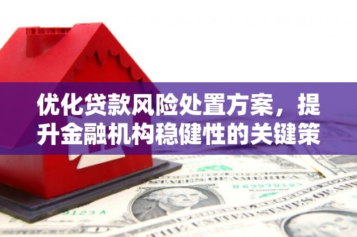 中区优化贷款风险处置方案，提升金融机构稳健性的关键策略