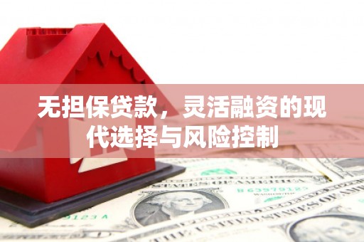 中区无担保贷款，灵活融资的现代选择与风险控制