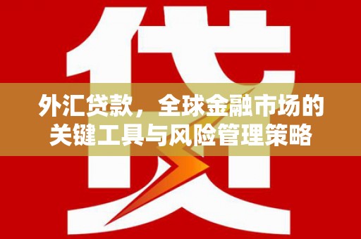 中区外汇贷款，全球金融市场的关键工具与风险管理策略