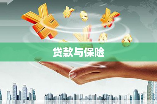 中区贷款与保险