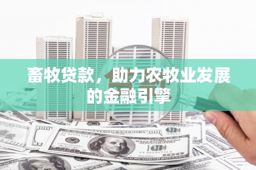 中区畜牧贷款，助力农牧业发展的金融引擎