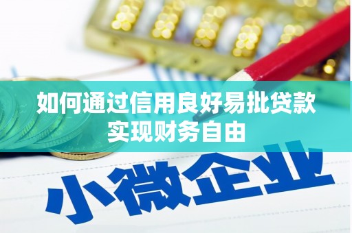 中区如何通过信用良好易批贷款实现财务自由
