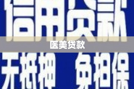 中区医美贷款