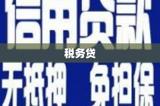 中区税务贷