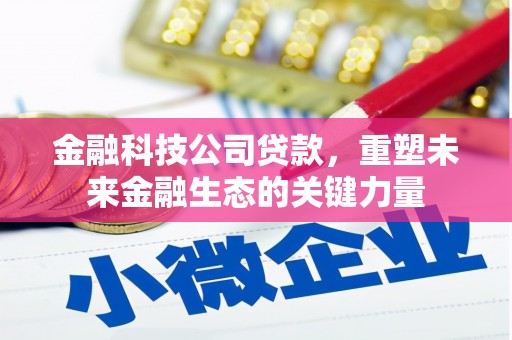 中区金融科技公司贷款，重塑未来金融生态的关键力量