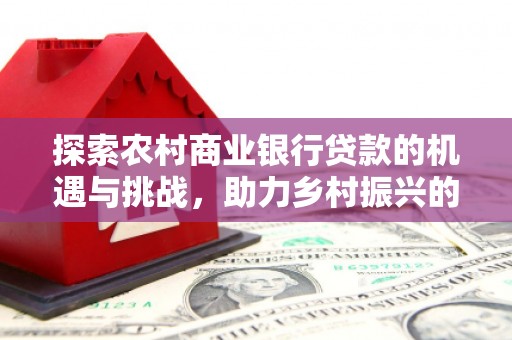 中区探索农村商业银行贷款的机遇与挑战，助力乡村振兴的金融引擎