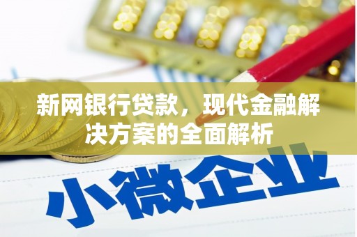 中区新网银行贷款，现代金融解决方案的全面解析