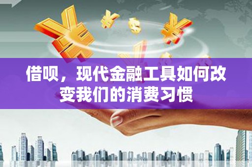 中区借呗，现代金融工具如何改变我们的消费习惯