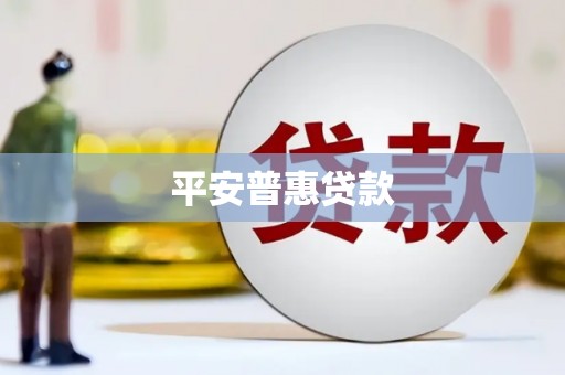 中区平安普惠贷款