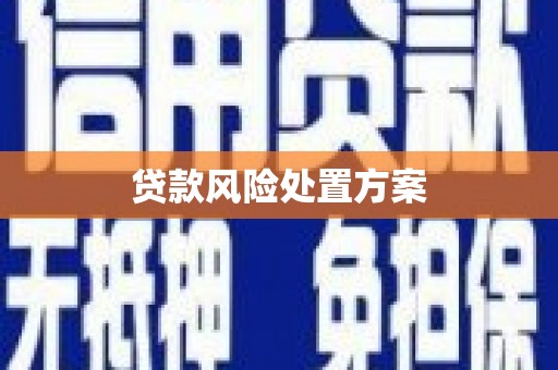 中区贷款风险处置方案