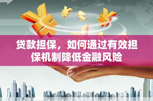 中区贷款担保，如何通过有效担保机制降低金融风险
