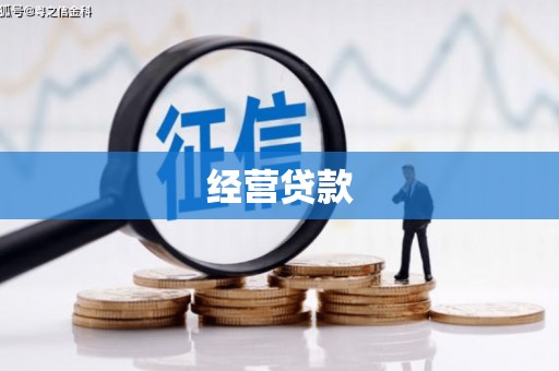中区经营贷款