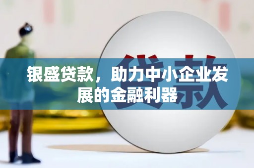 中区银盛贷款，助力中小企业发展的金融利器