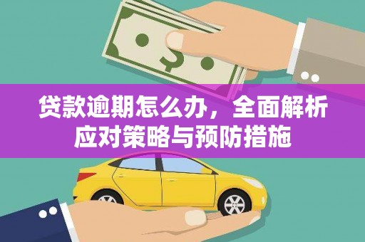 中区贷款逾期怎么办，全面解析应对策略与预防措施