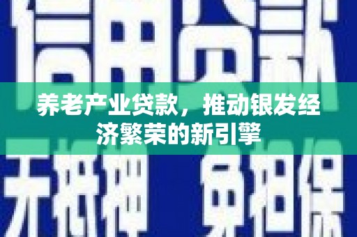 中区养老产业贷款，推动银发经济繁荣的新引擎